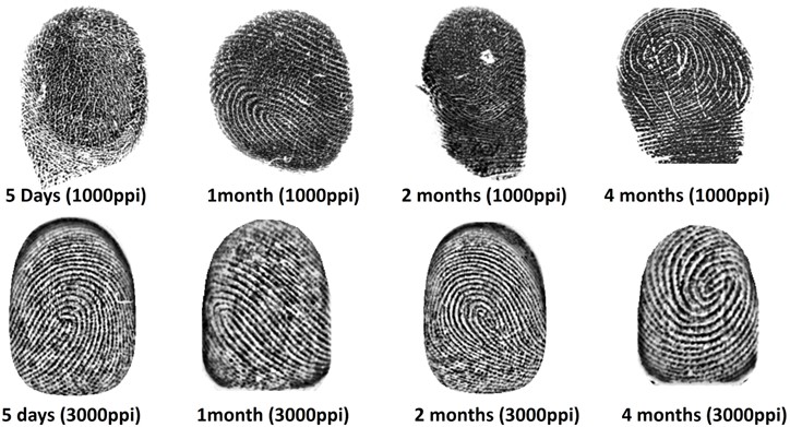 Why High-Resolution Contact Scanners Fall Short for Newborn Fingerprinting